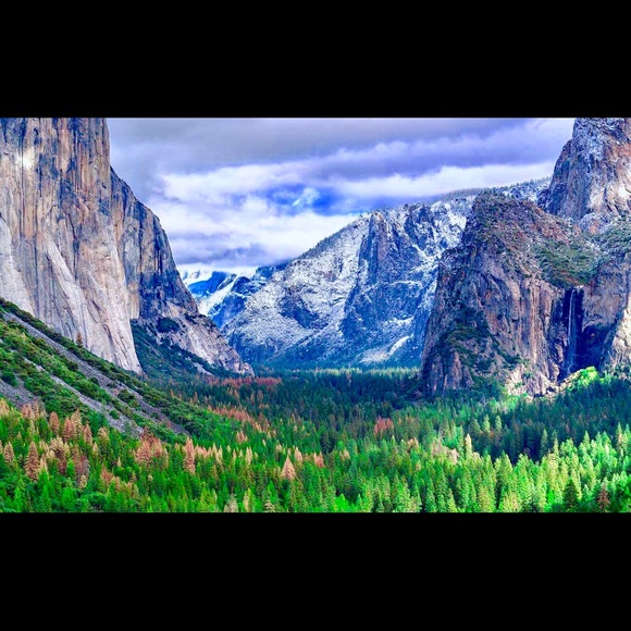 Meet your Posher, Mark - Picture 1 of 1